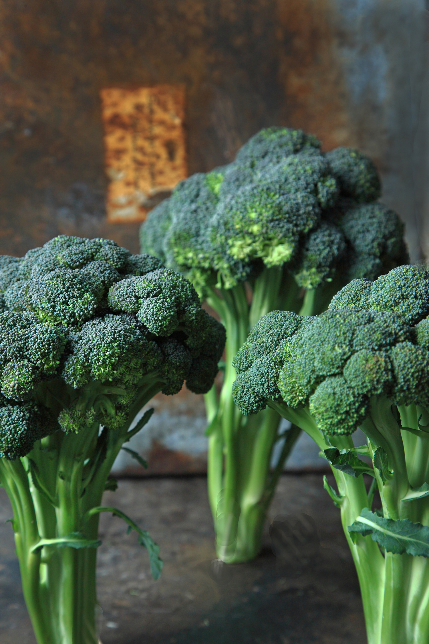 Krämig broccolisoppa med bönor